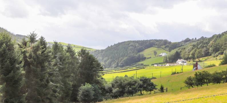 果恩泰诺酒店(Gwern Tyno)图片