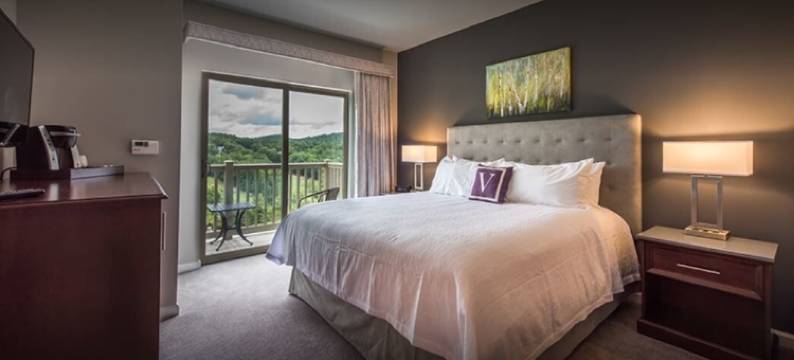 瓦尔哈拉度假式酒店(Valhalla Resort Hotel)图片
