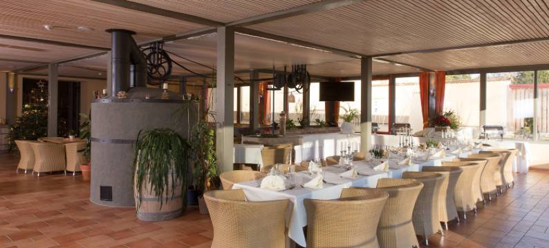 JUFA 维恩维尔特尔酒店(Jufa Hotel Weinviertel - Eselsmühle)图片