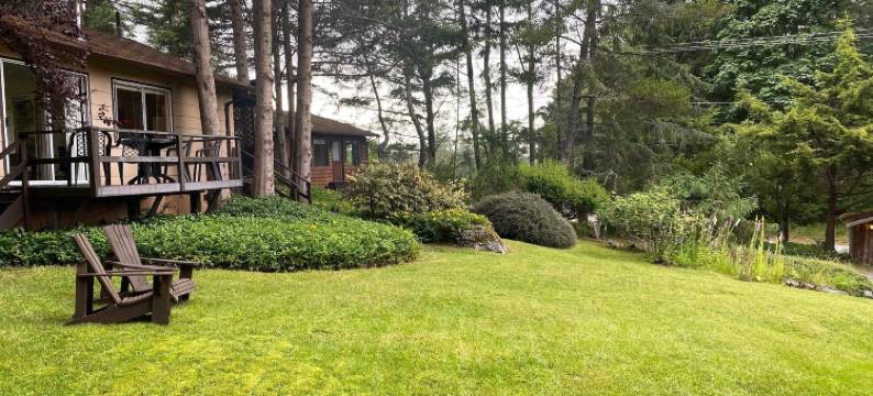 漂流木村度假酒店(Driftwood Village Resort)图片