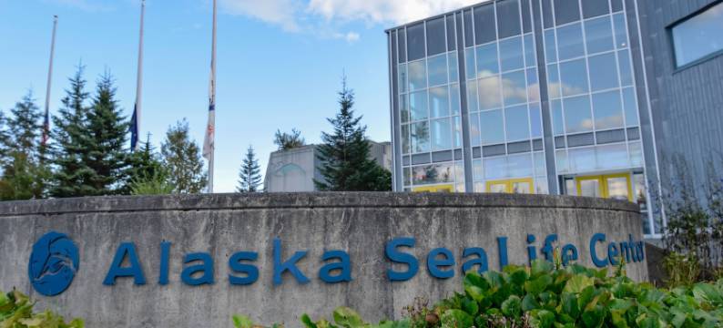 棕色霍金斯历史公寓酒店(Brown & Hawkins Historical Apartments)图片