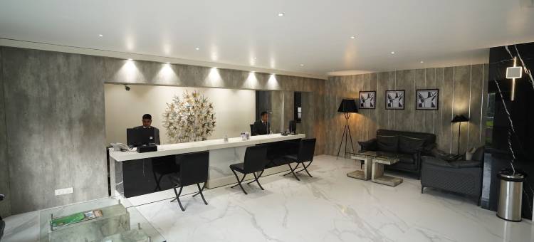 斯旺塔楼酒店(Hotel Swarn Towers)图片