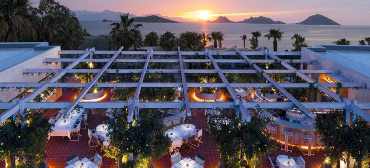 博德鲁姆海滩瑞士度假酒店(Swissôtel Resort Bodrum Beach)图片