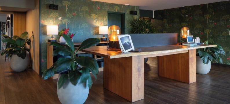 科纳太平洋19号(Pacific 19 Kona)图片