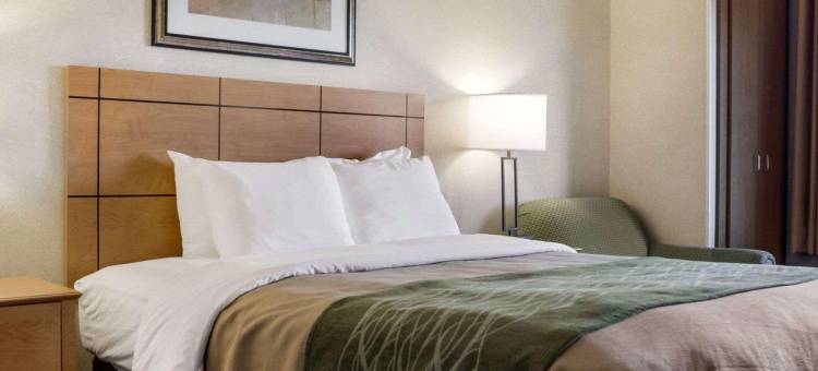舒适酒店(Comfort Inn)图片