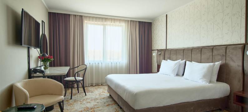 克拉特夫美特波罗-金色郁金香酒店旗下(Metropolo Krakow by Golden Tulip)图片