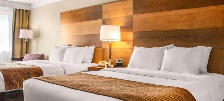 杜兰戈舒适酒店及套房(Comfort Inn & Suites Durango)图片