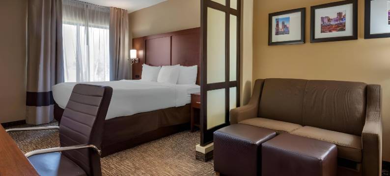 舒适套房酒店-诺曼湖亨特斯维尔(Comfort Suites Lake Norman - Huntersville)图片