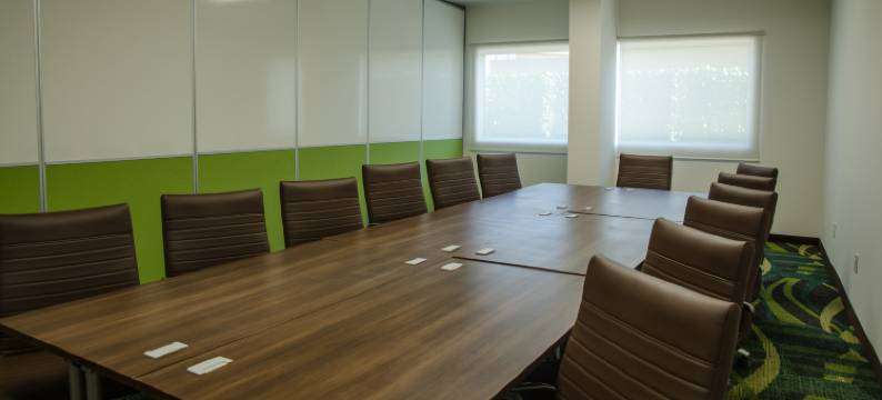 智选假日套房酒店-塞拉亚(Holiday Inn Express & Suites CELAYA by IHG)图片