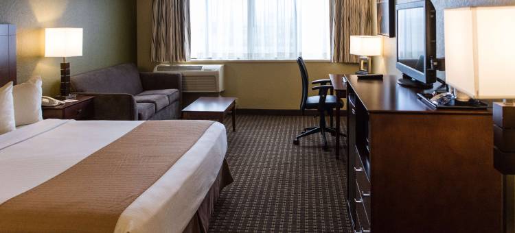 贝斯特韦斯特行政酒店(Best Western Executive Inn)图片