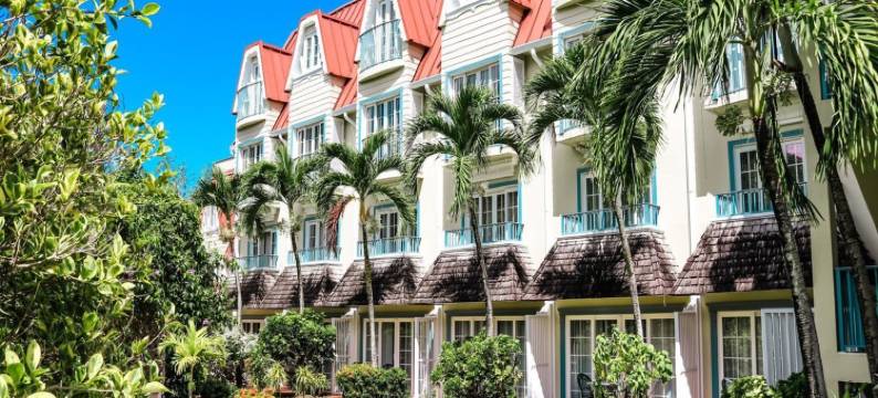 可可棕榈(Coco Palm)图片