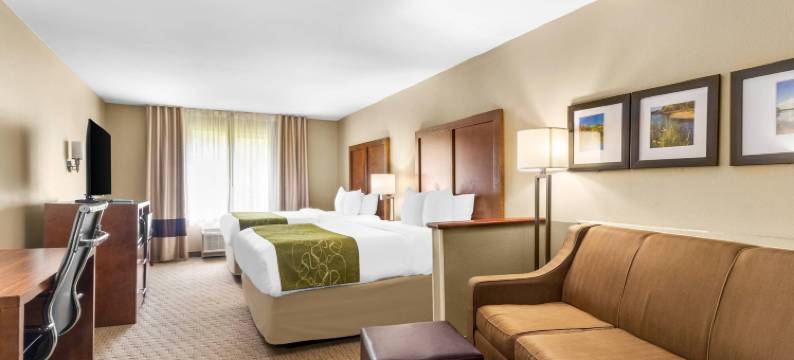 舒适套房酒店(Comfort Suites)图片