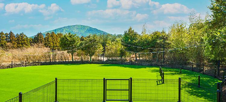 济州韩华度假村(Hanwha Resort Jeju)图片