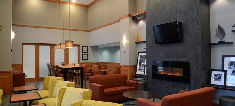 温莎希尔顿欢朋套房酒店(Hampton Inn and Suites by Hilton Windsor)图片