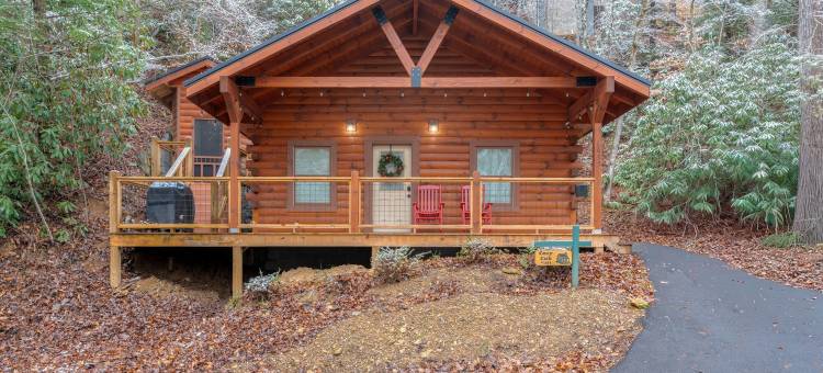 282 舒适小熊 1 卧室小屋(Stunning Lovers Getaway in Gatlinburg,New!Free Tickets 2 Dollywood,Anakeesta,Ziplining,Aquari & More)图片