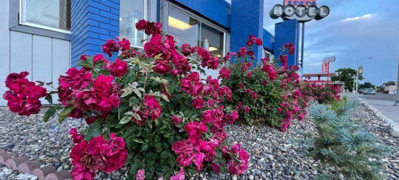 Capital O 经济型旅馆安大略 I-84(Capital O Budget Inn Ontario I-84)图片