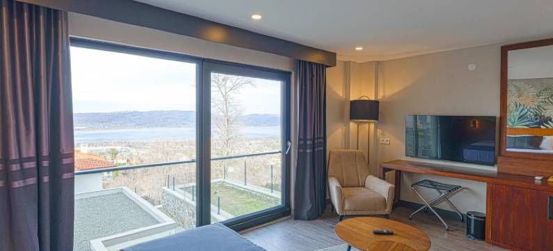 Best Western Plus Sapanca图片