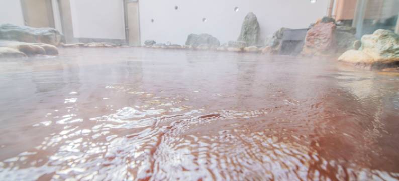 FLEXSTAY INN 鹿岛 Central(FLEXSTAY INN Kashima Central)图片