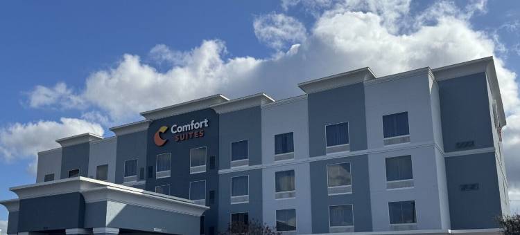 东部舒适套房酒店(Comfort Suites East)图片