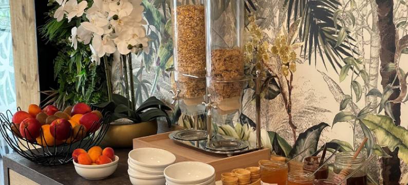 城市风格酒店 戛纳 穆昂萨尔图(Urban Style Cannes Mouans-Sartoux)图片