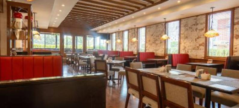 Hotel del Parque图片