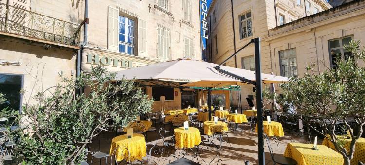 杜普莱德帕普酒店(Hôtel du Palais des Papes)图片