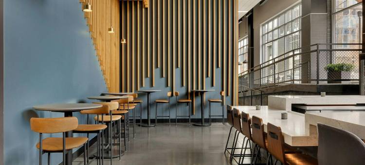 罗利卡索臻品之选酒店(The Casso, Raleigh, A Tribute Portfolio Hotel)图片