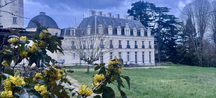 贝奈皇家城堡(Château Royal de Benays - Hôtel)图片