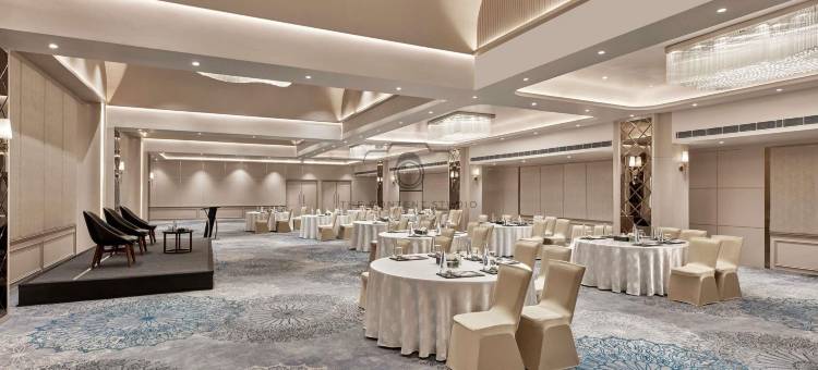 诺富特齐普尔会议中心酒店(Novotel Jaipur Convention Centre)图片