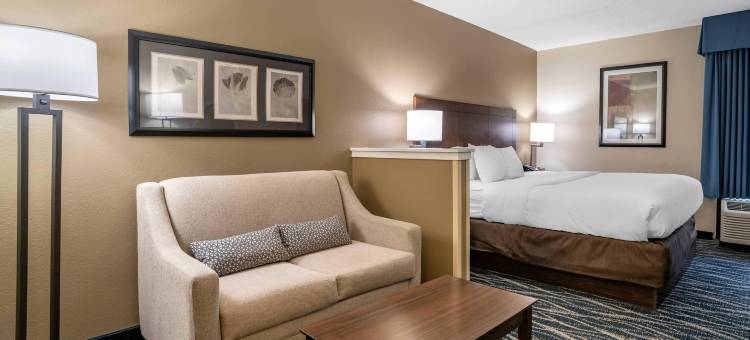 舒适套房酒店-纽华克威尔明顿(Comfort Inn & Suites Newark - Wilmington)图片