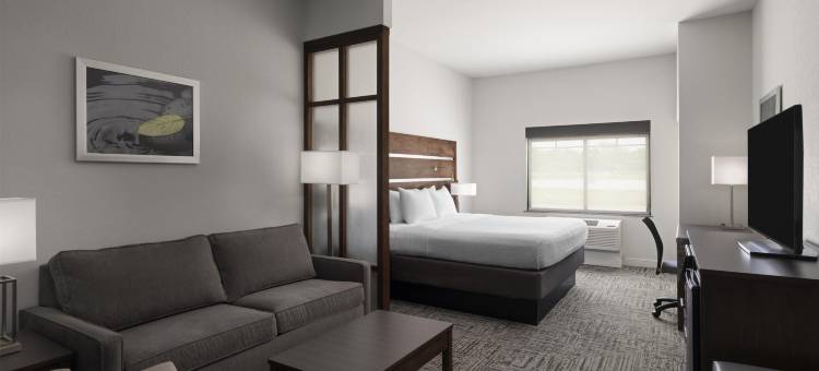 克利奇站贝斯特韦斯特优质套房酒店(Best Western Plus College Station Inn  Suites)图片