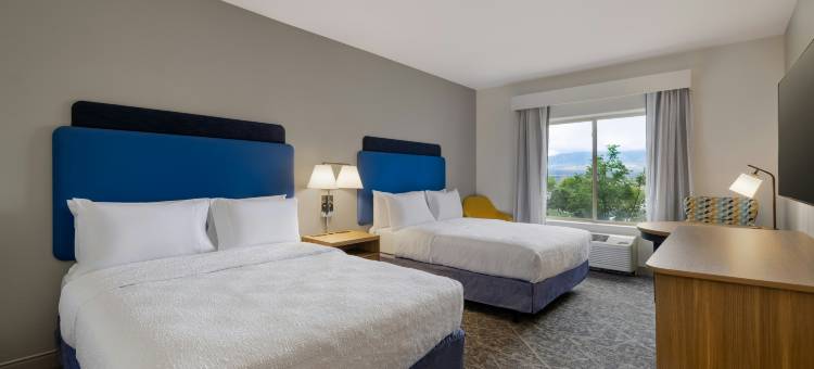 梅斯基特希尔顿欢朋酒店(Hampton Inn & Suites by Hilton Mesquite)图片