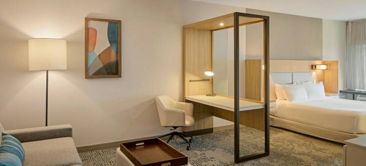 海波因特市中心SpringHill Suites酒店(SpringHill Suites by Marriott High Point Downtown)图片