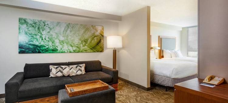 迈阿密机场南SpringHill Suites 酒店(SpringHill Suites by Marriott Miami Airport South Blue Lagoon Area)图片