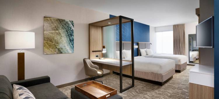 埃尔帕索机场SpringHill Suites酒店(SpringHill Suites El Paso Airport)图片
