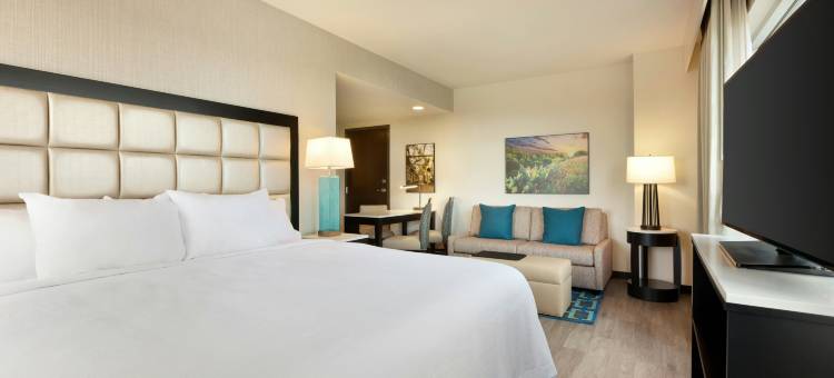 圣安东尼奥地标希尔顿安泊酒店(Embassy Suites by Hilton San Antonio Landmark)图片