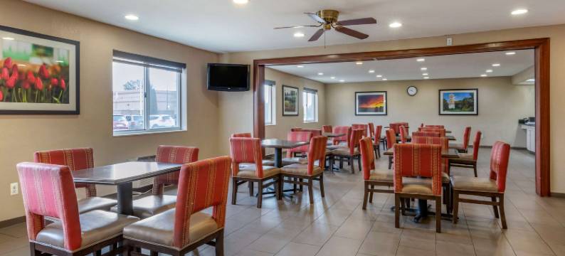 迪蒙代尔舒适套房酒店(Comfort Inn & Suites Dimondale - Lansing)图片