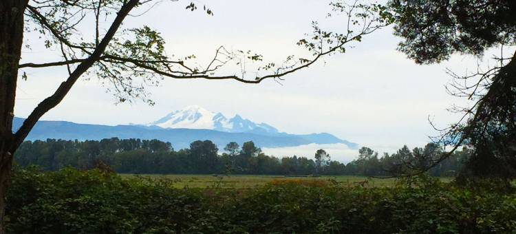风车林登客栈(Windmill Inn Lynden)图片