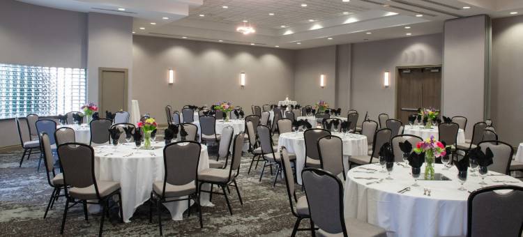 Delta Hotels Detroit Novi图片