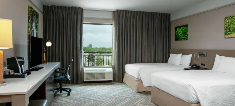 莫比尔市区希尔顿花园酒店(Hilton Garden Inn Mobile Downtown)图片
