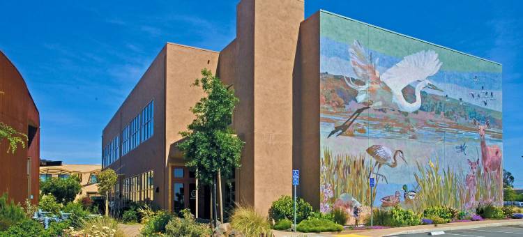 纳帕谷美国大峡谷希尔顿逸林酒店及度假村(DoubleTree by Hilton Hotel & Spa Napa Valley - American Canyon)图片