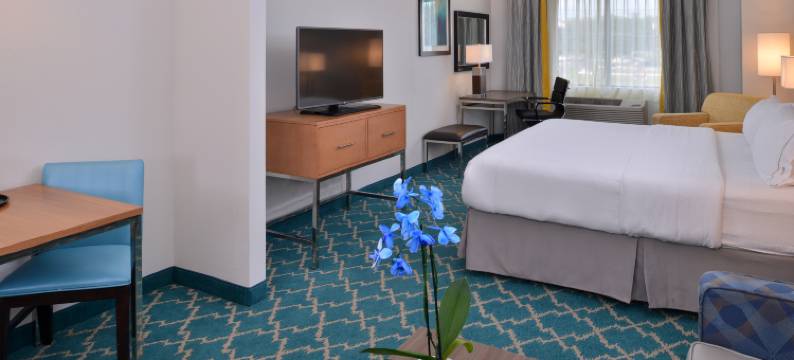 西大洋城智选假日套房酒店(Holiday Inn Express & Suites WEST OCEAN CITY by IHG)图片