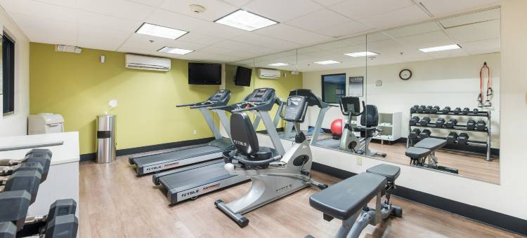 伦敦-I-70智选假日酒店(Holiday Inn Express London-I-70)图片