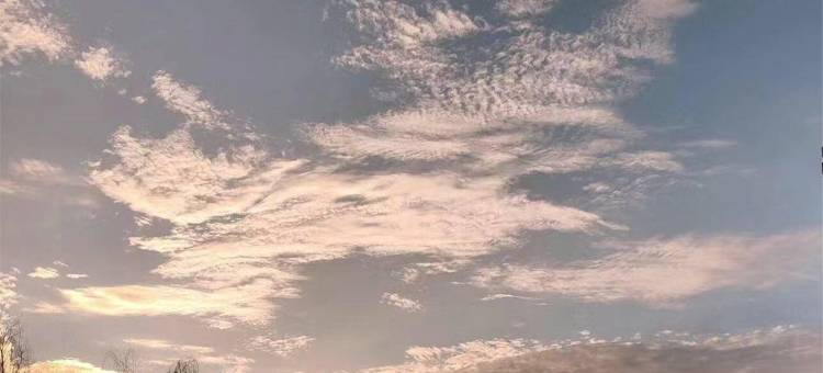 8090漫居公寓(雄楚大道高架分店)图片