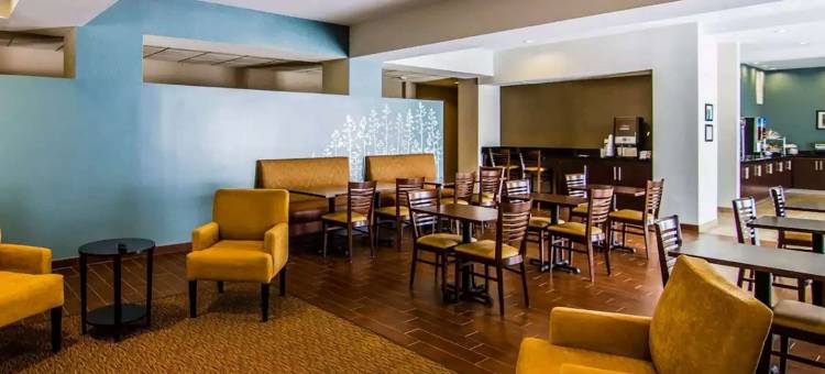 朗维尤北蔚景温德姆酒店(Wingate by Wyndham Longview North)图片