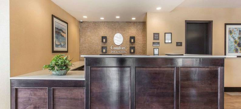 舒适酒店及套房-机场北(Comfort Inn & Suites Airport North)图片