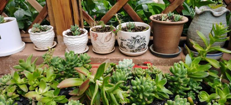 憨墅林观湖房民宿(澄华线1号分店)图片