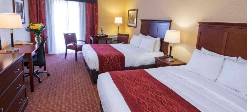 机场舒适酒店(Comfort Hotel Airport St Johns)图片