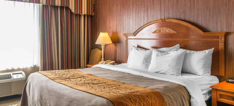 切尔西舒适酒店(Comfort Inn)图片