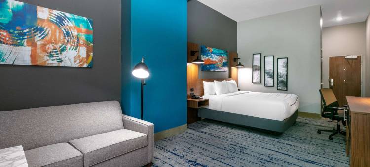 杰克森维尔拉昆塔温德姆套房酒店(La Quinta Inn & Suites by Wyndham Jacksonville TX)图片